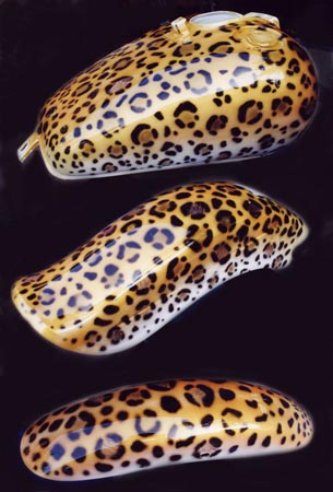 LEOPARD